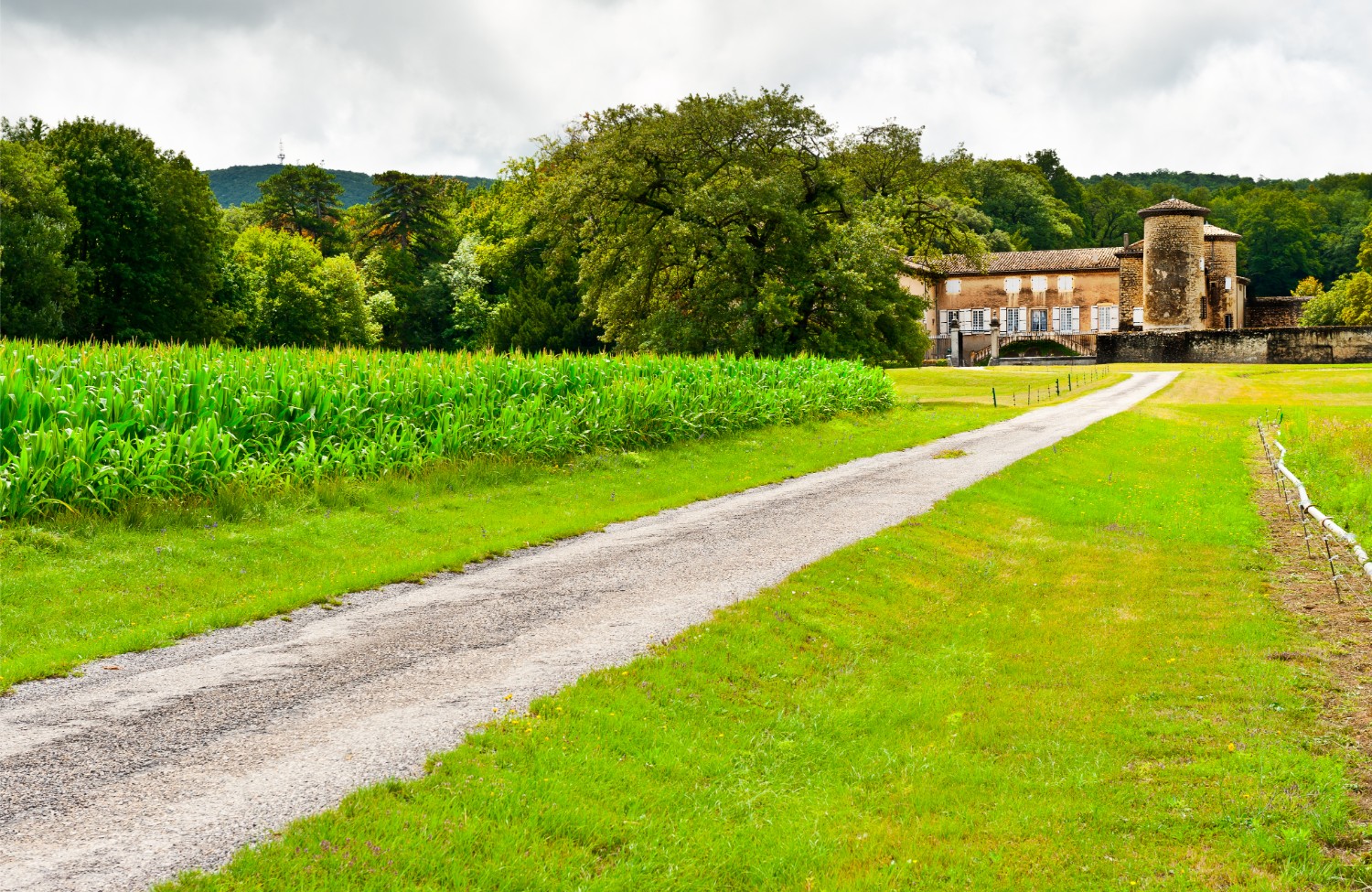 agence de l'immobilier — Comment optimiser le référencement naturel d’une agence immobilière