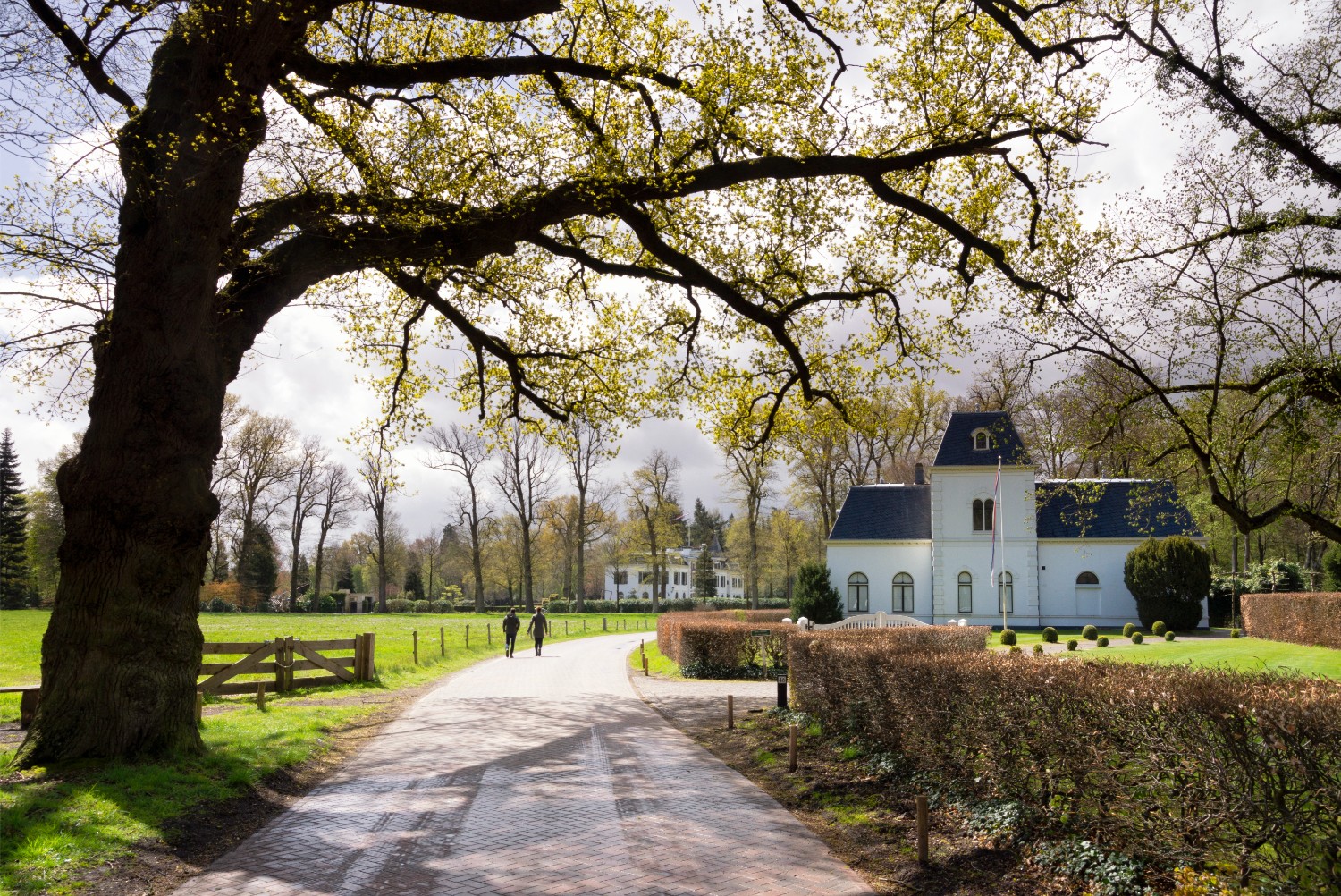 Les 20 KPI marketing à suivre pour votre agence Agence web immo — Les 20 KPI marketing à suivre pour votre agence